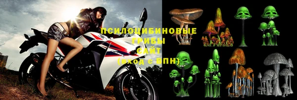 PSILOCYBIN Краснослободск