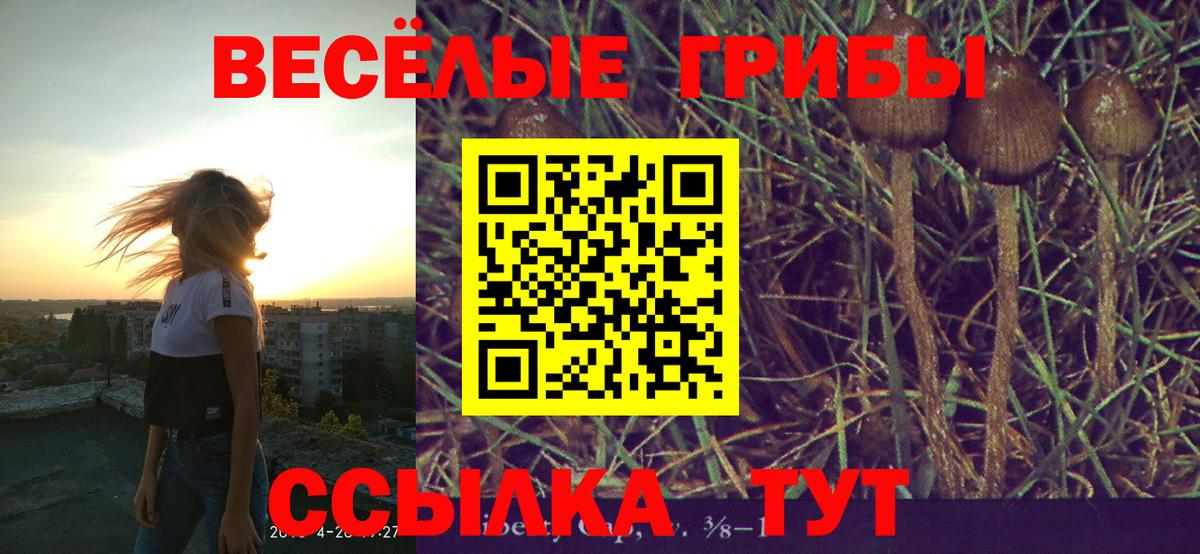 Бошки Шишки Коломна