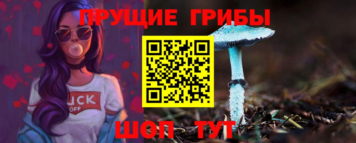 Коломна  Псилоцибиновые грибы MAGIC MUSHROOMS  закладки  Псилоцибиновые грибы GOLDEN TEACHER  Вход с VPN 